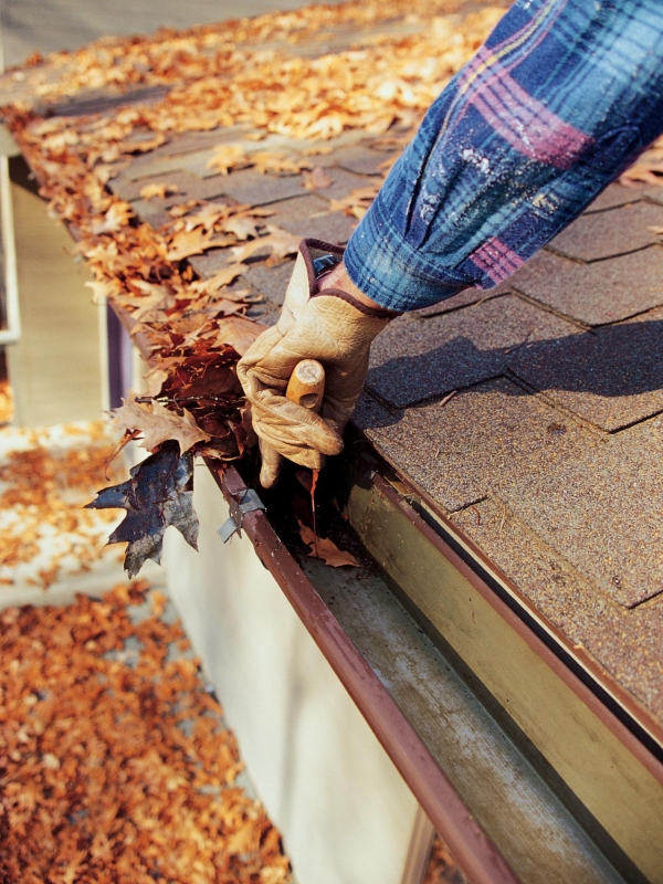 Gutter Cleaning